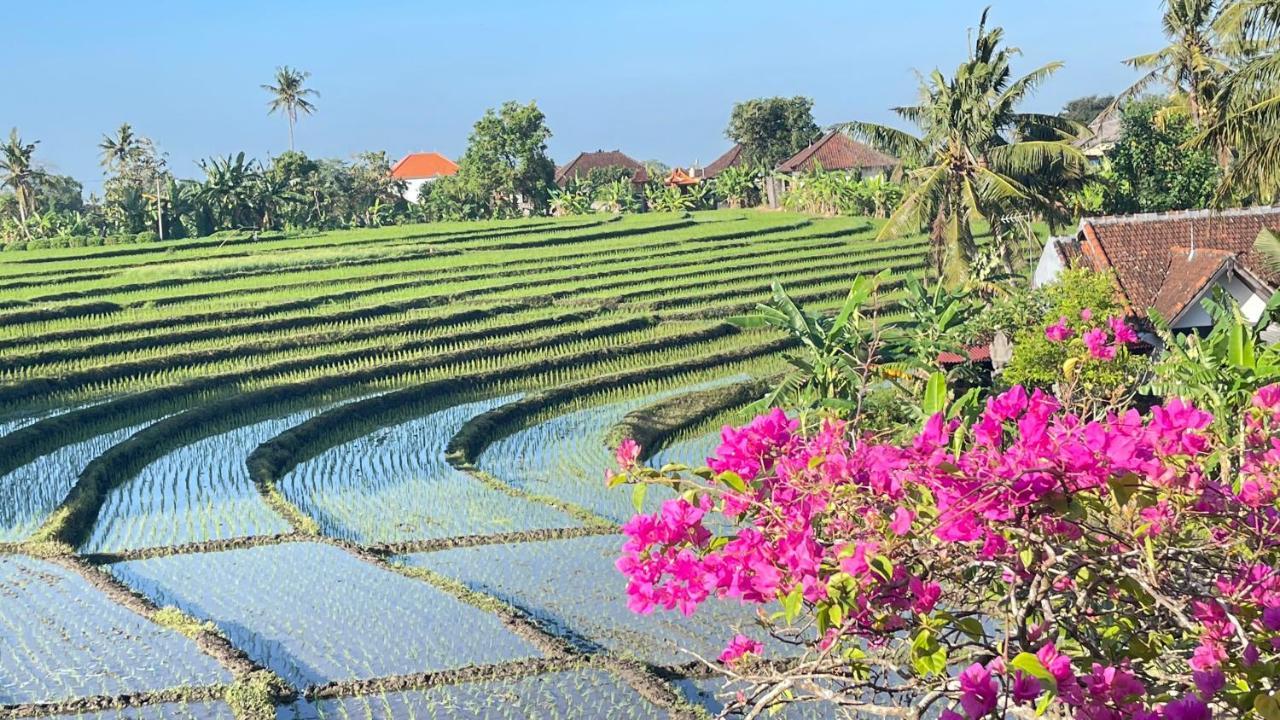 Canggu - Pererenan Guesthouse " Abalihouse " Exterior foto